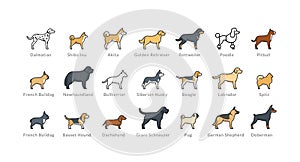 Dog breeds icons set: akita, rottweiler, beagle, domerman.